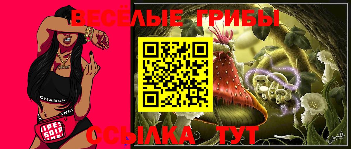 Галлюциногенные грибы Psilocybine cubensis  Вход с VPN  Георгиевск 