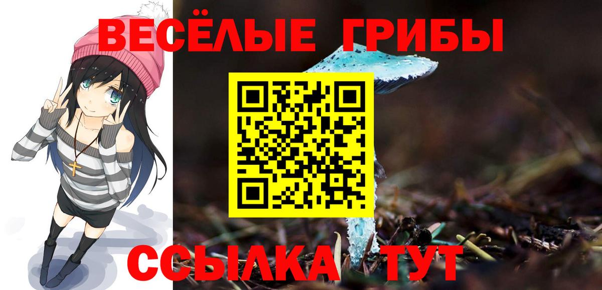 Галлюциногенные грибы мухоморы Георгиевск